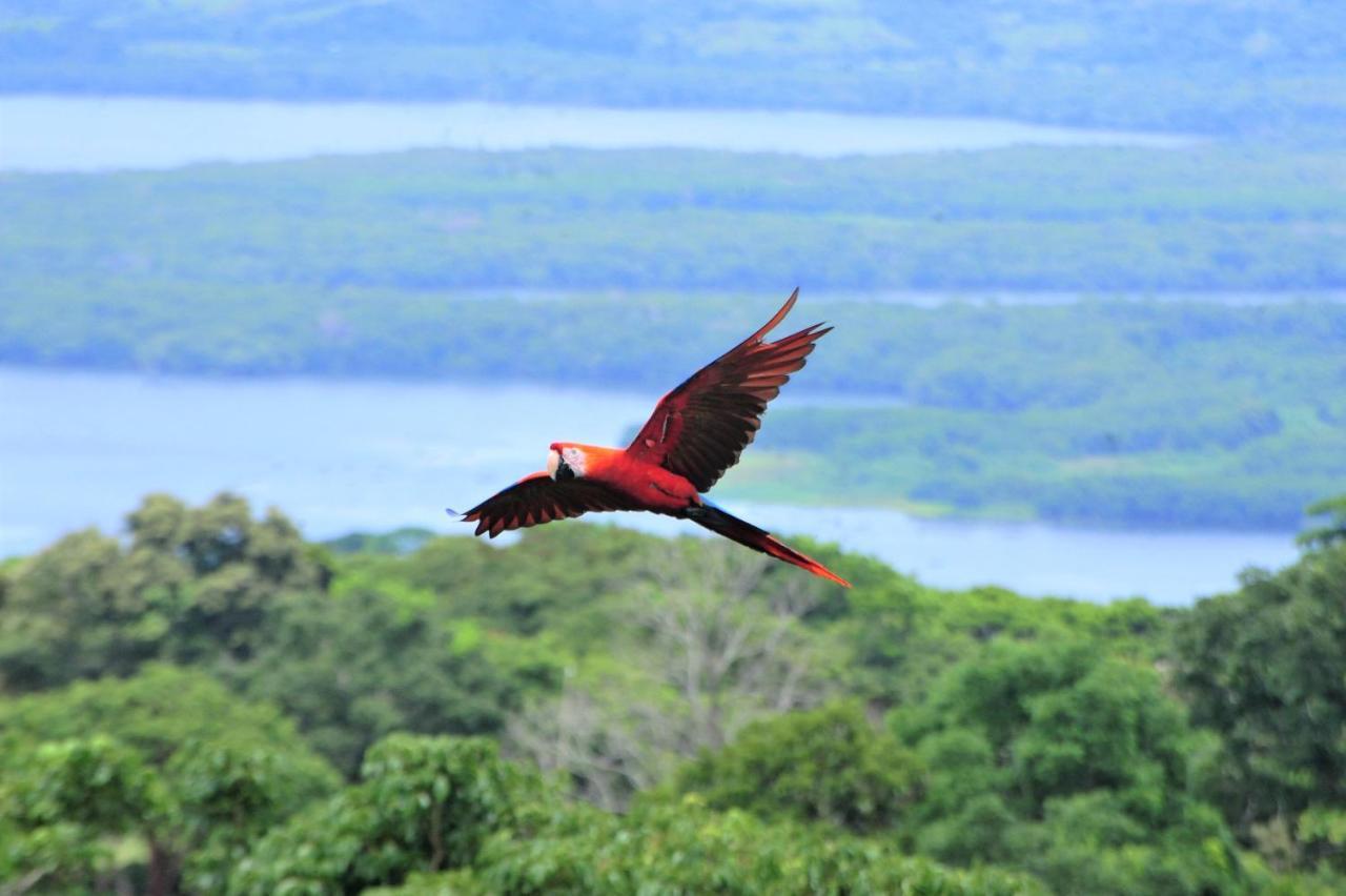 Ecobiosfera Hotel Catemaco Exterior photo